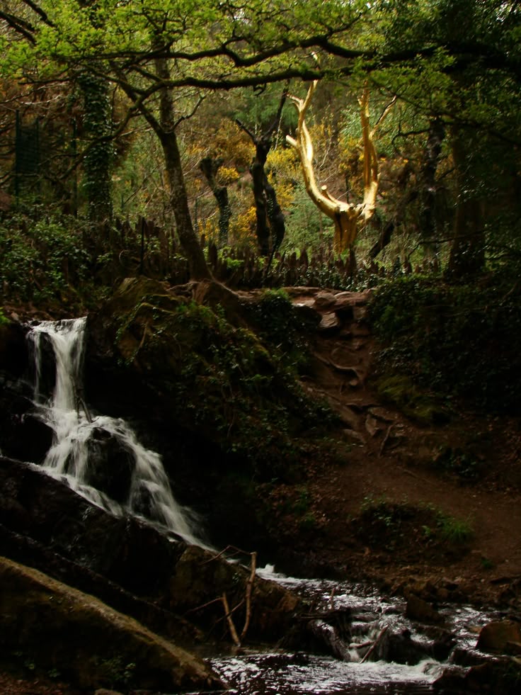 La Forêt de Brocéliande, Paimpont,&nbsp;France